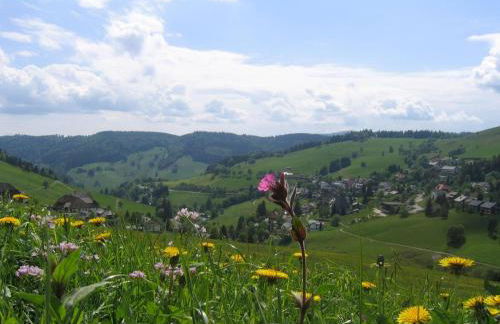 Haus Keller Ferienwohnungen - Foto 34