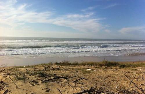 Appartement 2/3 personnes à 10 minutes de Contis plage (Saint Julien en Born) - Foto 29