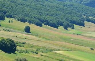 Agriturismo Le Castellare - Foto 46