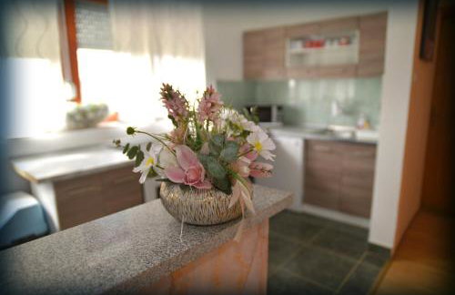 Lovely apartment Anka on the river Danube Vukovar - Foto 14