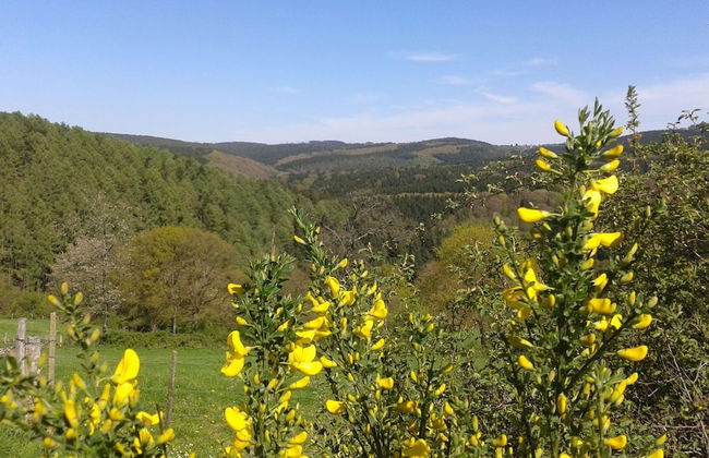 Holiday Home in Fays With Sauna & Hiking - Photo 36