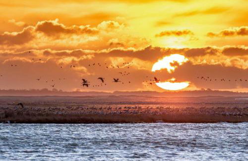 Landidylle - Foto 20