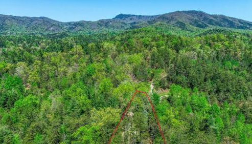 Bear Pause - 2 Bedrooms, 2 Baths, Sleeps 6 Cabin by RedAwning - Foto 4