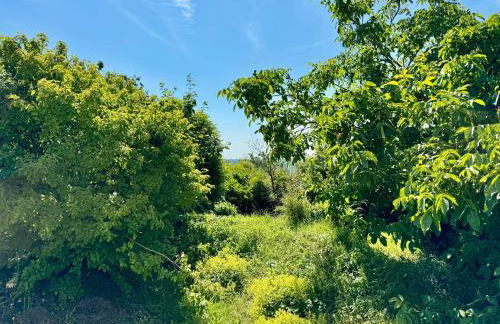 Lot54 Holiday Homes - Foto 13