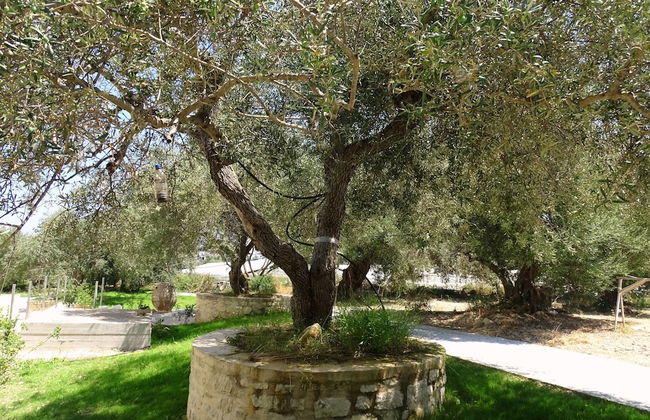 Lyrids Apartments - Photo 137