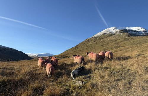 Auch - Cottages - Photo 17