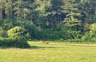 Le Pré de la Mer Le Gîte - Foto 51
