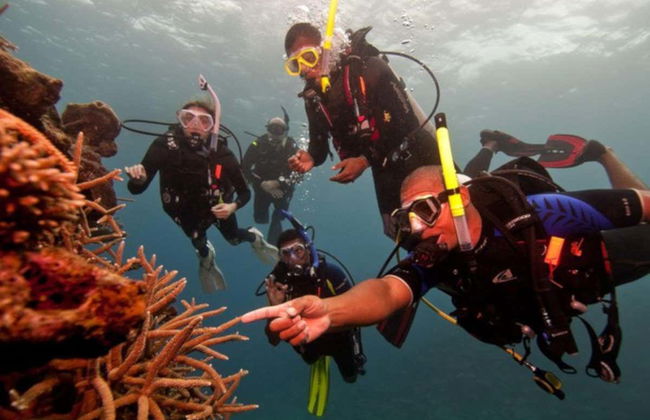 Bautismo de buceo en Nilaveli - Foto 1