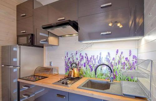 Zielone Domki Morze i Jezioro - Foto 5