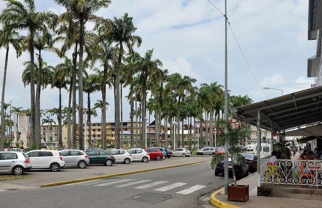 Appartement Cayenne Chic Design Élégant - Foto 58