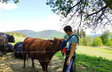 Appartement Am Skihang Altastenberg 1 km zum Skikarusell Winterberg - Photo 26