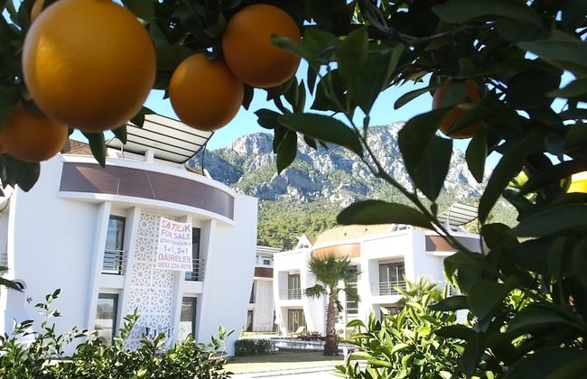 Han-De Homes - Foto 42