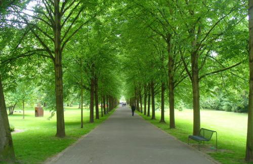 Ferienwohnung Rheinaue - Foto 35