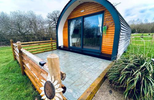 Beech Pod Cabin in Beautiful Surroundings Wrexham - Foto 12