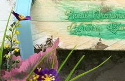 La Antigua Cuadra es un alojamiento de piedra y altos techos de madera con mucho encanto, jardín privado con barbacoa y acceso al río Asón - Foto 11