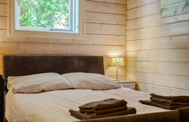 Chalet in Hulshorst Near Lake - Foto 4