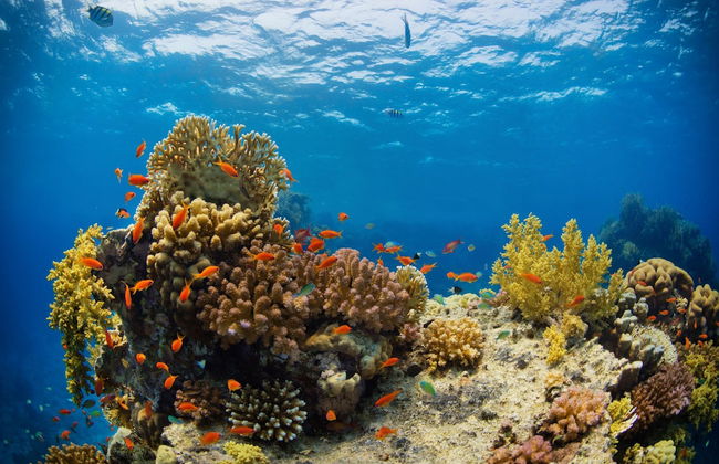 Sipadan Inn Service Apartments Semporna - Foto 37