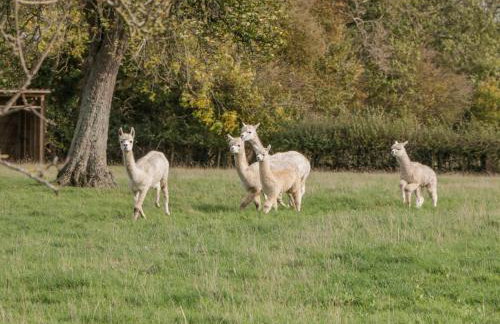 Phoenix House - Foto 4