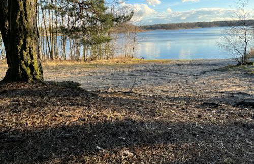 Wielkopolska Szydłówiec - Foto 19