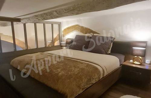 Lappart-salonais 70m2 avec jacuzzi privatif - Foto 9