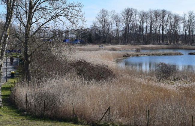 Dune View No. 3 Comfortable Vacation Home - Foto 20