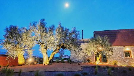 Casa Tosca - Foto 2, Garden view