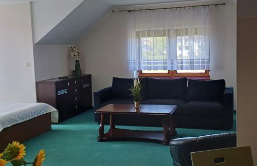 Apartamenty LeVilla - Foto 54