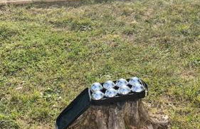 Le Petit Coin with pool, near Aubeterre sur Dronne - Foto 27