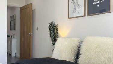 Wild City Centre Double Suite - Basketball Arcade Game, Free Gym - Foto 3