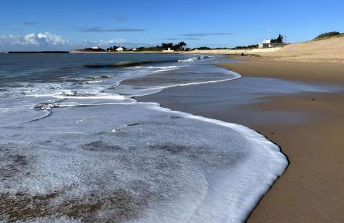 La petite maison avec palmier - Foto 10