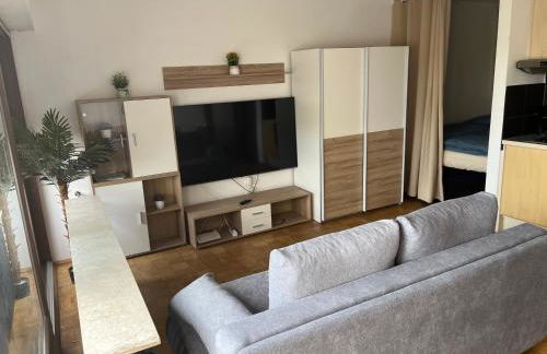 Apartment Nähe Hauptbahnhof und Innenstadt - Foto 2