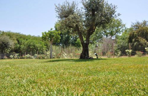 Casa Solà - Foto 15