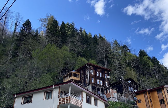 Leyli Comfort - Foto 9