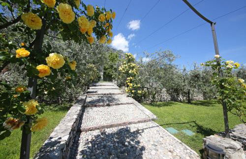 Residence Fondo La Campagnola - Foto 12