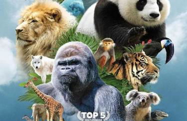 Le chaleureux. Maison à 2 pas du centre ville/proche du zoo de Beauval - Foto 7