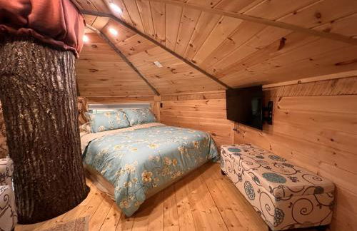 Treehouse wFull Disc Golf CourseDog Friendly - Foto 5