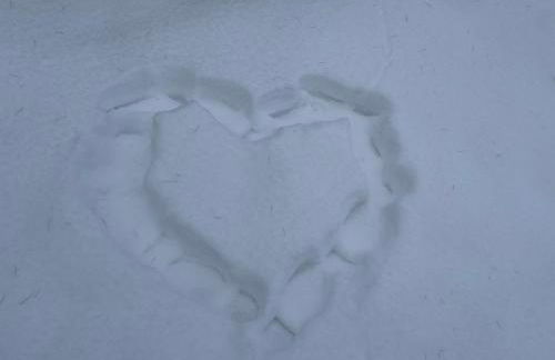 Kristallklar inklusive MeineCard Plus - Foto 21