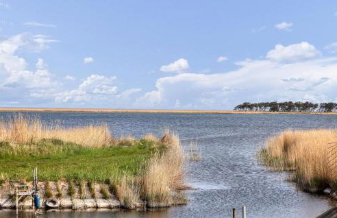 Poolhaus 2 In Hohendorf - Photo 50