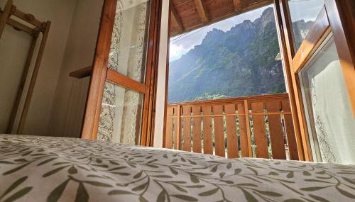 Stella Alpina - Foto 5