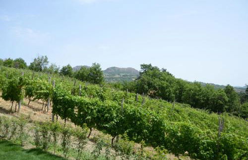 Agriturismo Ca' del Sartu - Foto 12