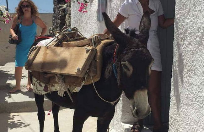 Charming 1705 Castle House in Pirgos Kallistis, Greece - Photo 20