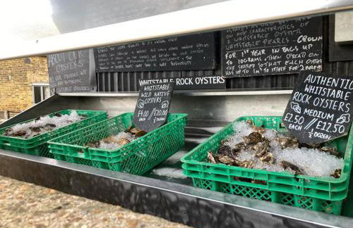 Countryside Annex- Sleeps 2 Free Parking & Garden - Foto 49