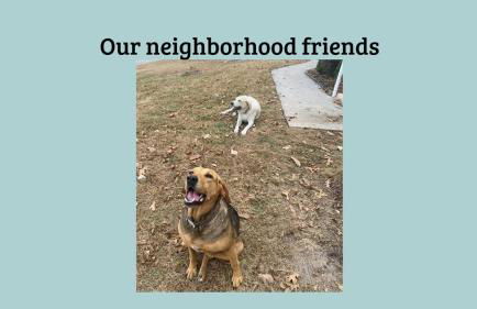 Red Clay Farmhouse - Foto 59