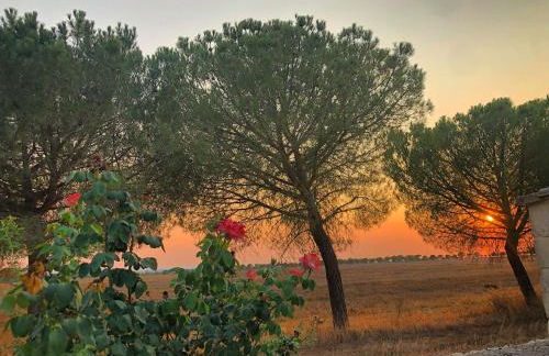 Masseria Casina Montana - Foto 33