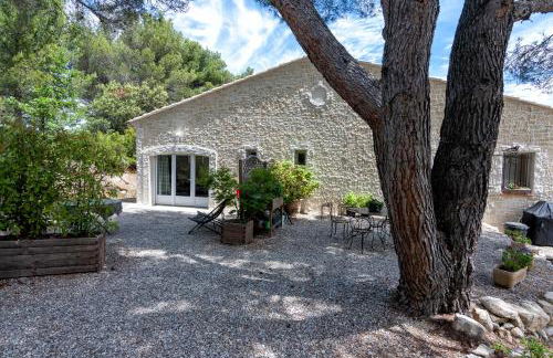 La Pinède du Barroux - Foto 2