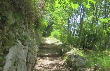 Agriturismo Orrido di Pino - Foto 35