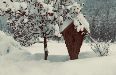 Mansarda al Noce - Foto 22