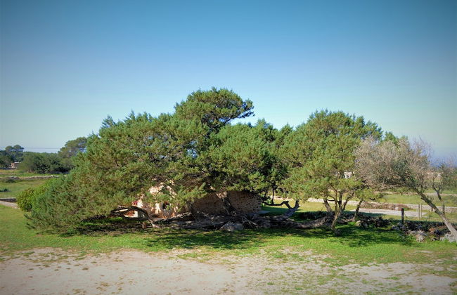 Siamo Bella - Foto 27