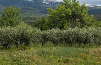 La Tanière du Ventoux - Foto 12