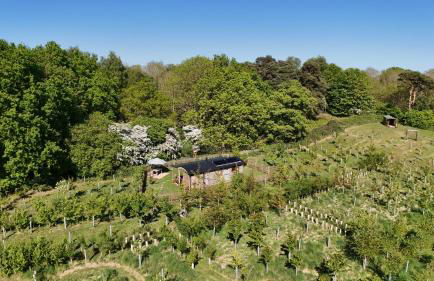 Oskar's Shepherd's Hut at Snug Hollow - Foto 1
